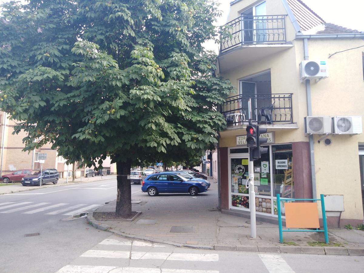 Veliki Park Villa Šabac Exterior foto